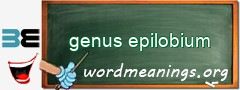 WordMeaning blackboard for genus epilobium